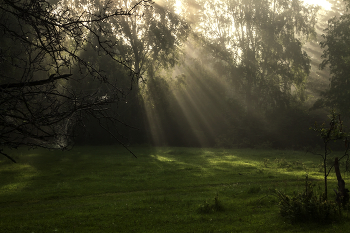 Nebel zerstreut / ***