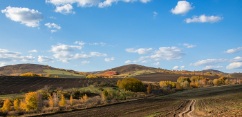 Herbst / ***