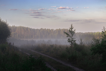 Nebel / ***