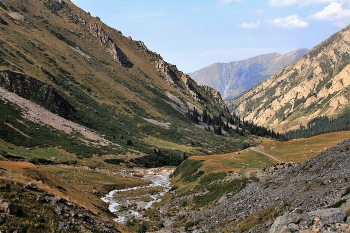 Berg Schlucht / ***