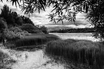 Auf dem See / ***