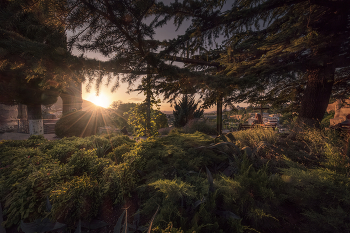 Sunset At Metekhi Church Garden / ***