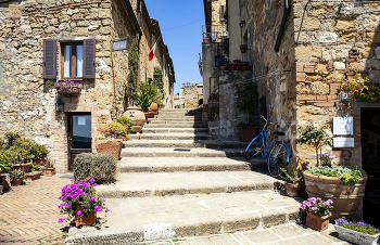 &nbsp; / ***