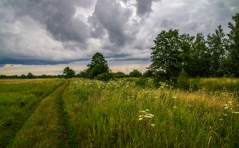 Vor dem Regen / ***