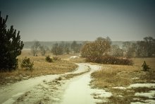 Road, die wir wählen / ***