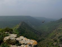 Spaziergang auf Israel / ***