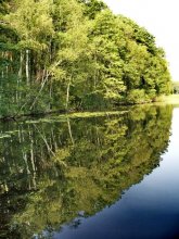 Spiegelbild im Wasser / ***