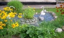 wunderbarer Ort / ***