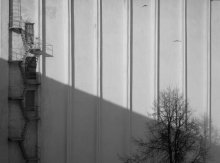 Parallels / ......