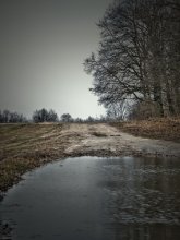 auf dieser Seite ... / ***