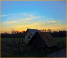 Sonnenuntergang über dem Wald / ___________