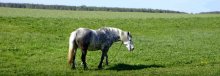 Kegelschnitt in das Bullauge / **********