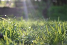 Lichtblick / ***