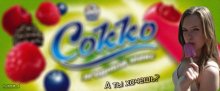 wollen? / ***