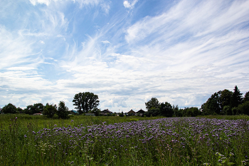 das Dorf / ***