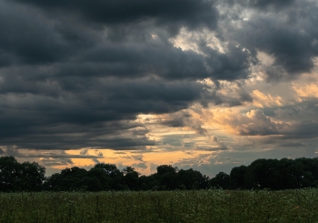 Vor dem Sturm / ***