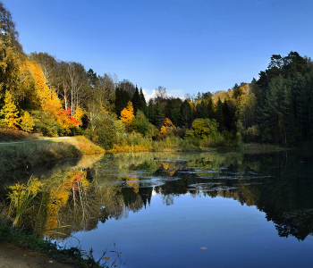 Herbst-Teich / ***