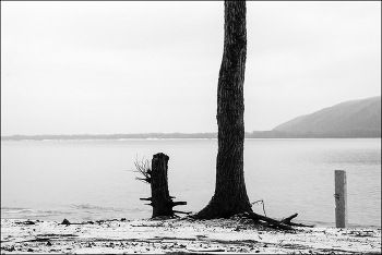 Landschaft mit Baum / ***
