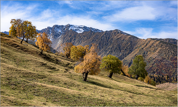 Herbst in den Bergen / ***