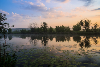 In der Morgendämmerung. / ***