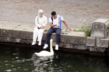 A conversation with a swan / ***