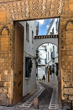 Arches / ***