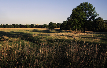 Morgen auf dem Land / ***