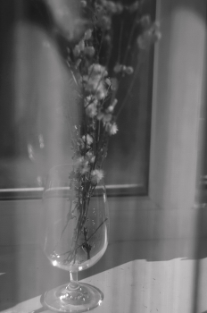 &nbsp; / ***