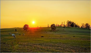 Am Abend Sonnenuntergang / ***