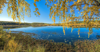 Gelbe Herbst / ***
