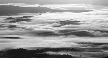 &nbsp; / [img]https://i.imgur.com/msIajxz.jpg[/img]
[img]https://i.imgur.com/AaAB9af.jpg[/img]
