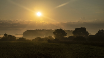 Nebel zerstreut / ***