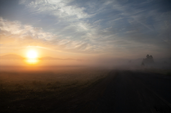 Nebliger Morgen / ***
