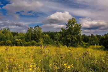 Am Ende des Sommers. / ***