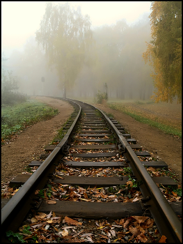 und ich bin für den Nebel gehen ... / ***