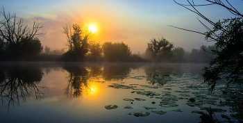 Bei Sonnenaufgang. / ***