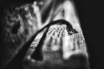 Leben rund um / ***