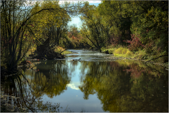 Herbst / ***