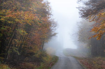 Im Herbst ... / ...