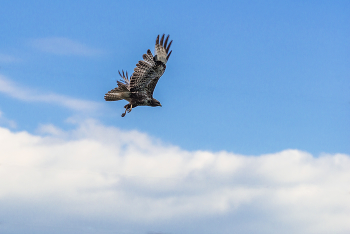 Freundliche ... / ***