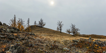 Herbststimmung. / ***