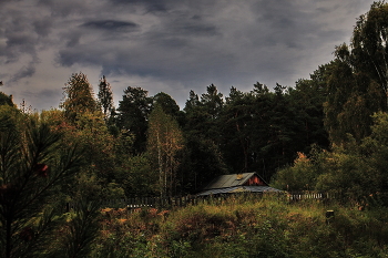 Nach dem Regen / ***