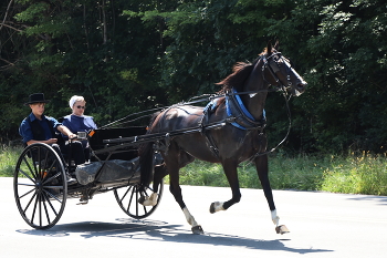 &nbsp; / https://americasroads.us/2016/08/20/%D0%BF%D0%B5%D0%BD%D1%81%D0%B8%D0%BB%D1%8C%D0%B2%D0%B0%D0%BD%D1%81%D0%BA%D0%B0%D1%8F-%D0%BE%D0%B1%D1%89%D0%B8%D0%BD%D0%B0-%D0%B0%D0%BC%D0%B8%D1%88%D0%B5%D0%B9/