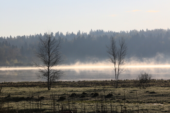 Morgennebel / ***