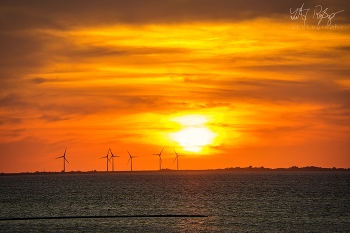 Nordsee am Abend / Sonnenuntergang an der Nordsee mit Windmühlen