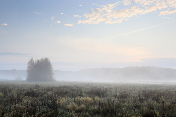 Nebel zerstreut / ***