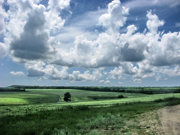 Sommer / ***