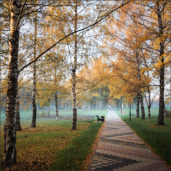 Im Herbst des Parks ... / ***