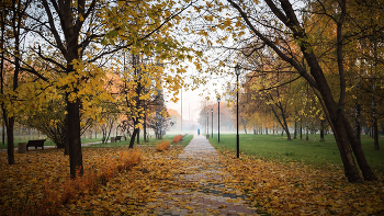 Im Herbst des Parks ... / ***