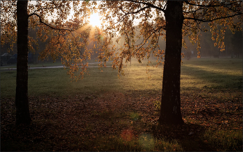 Im Herbst des Parks ... / ***